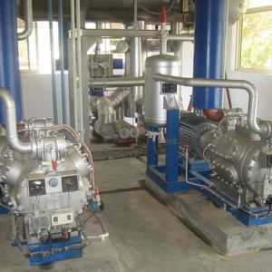 Ammonia Compressor